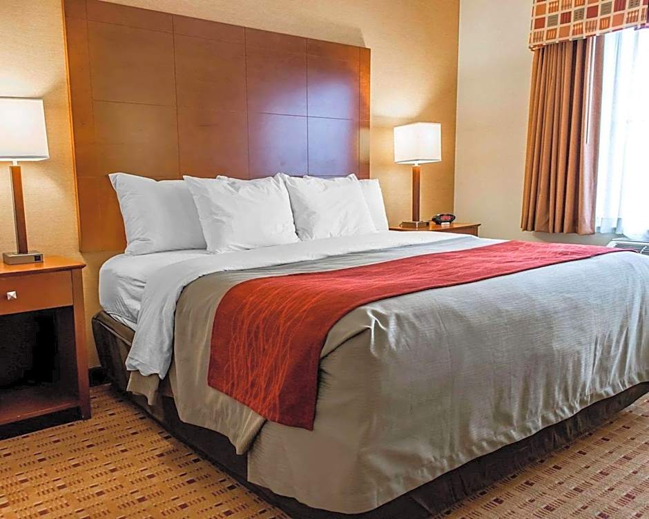 Comfort Inn & Suites Franklin East