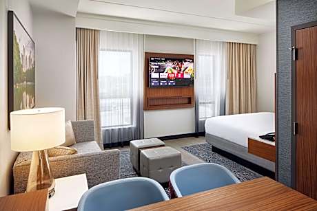 1 King Bed 1 Room Studio Suite