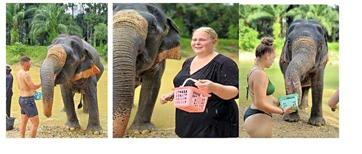 Khao Sok River Lodge Hotel