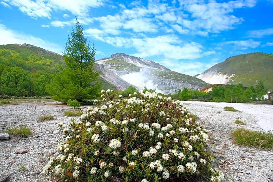 Traveler's Inn Asanebo