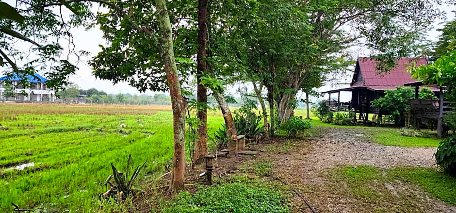 Tung Tong Homestay & Camping