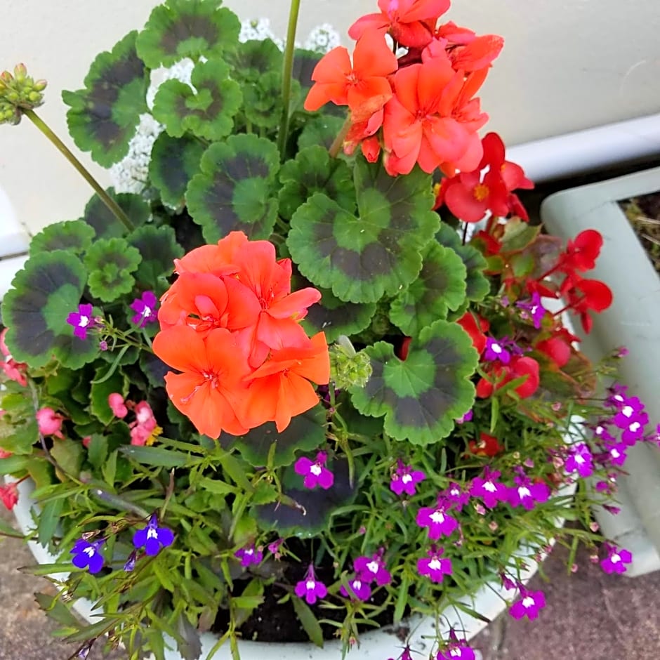 Eden's Rest Bed and Breakfast