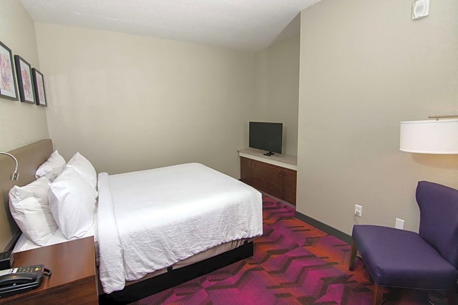 Hilton Garden Inn Tampa Suncoast Parkway