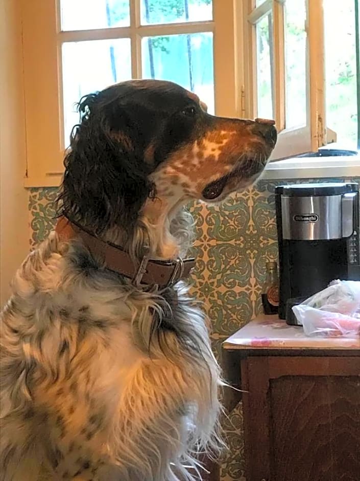 Chez Zoiseau et Zoiseautte