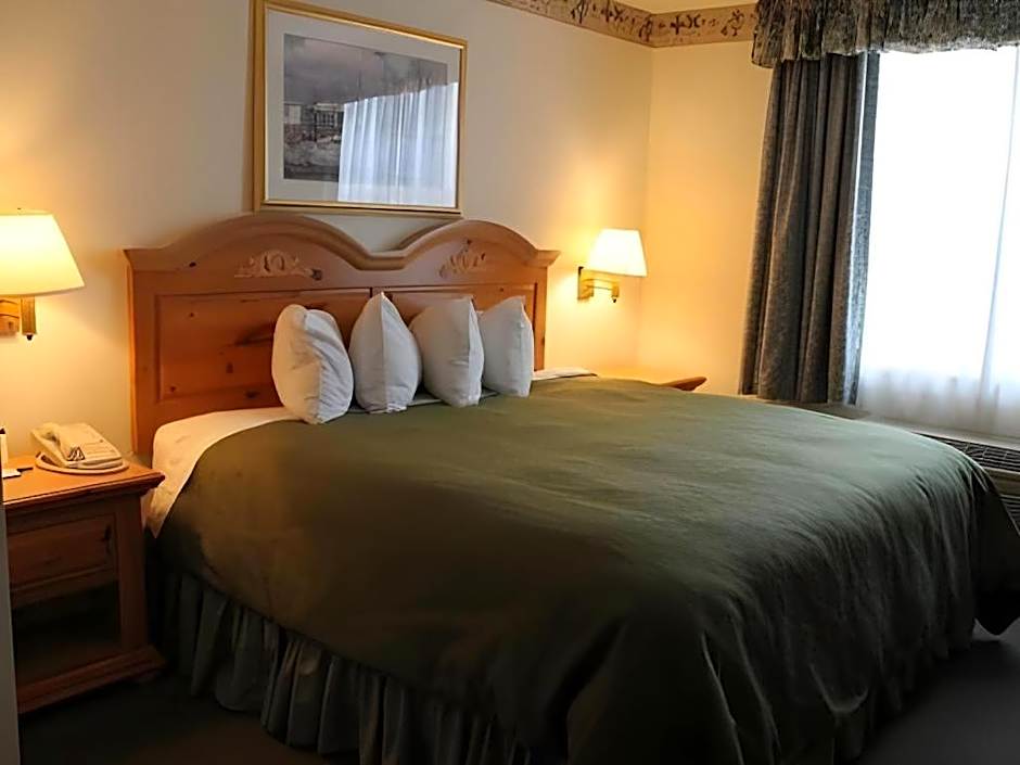 Country Inn & Suites by Radisson, Dundee, MI