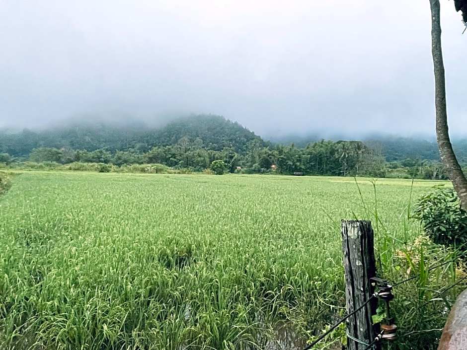 บ้านสวนวิวทุ่ง