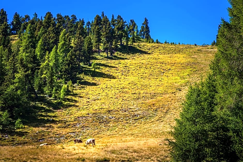 Ferienhütte Hoitahüttl