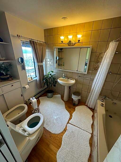 Dream House -Water Lily