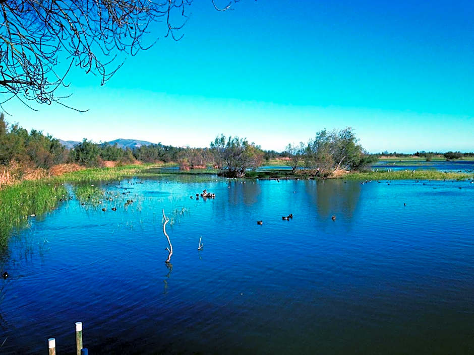 Casa Del Mar Hotel & Apartaments