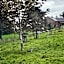 Oakenholt Farm Bed and Breakfast