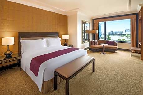 Luxury Suite with King Bed