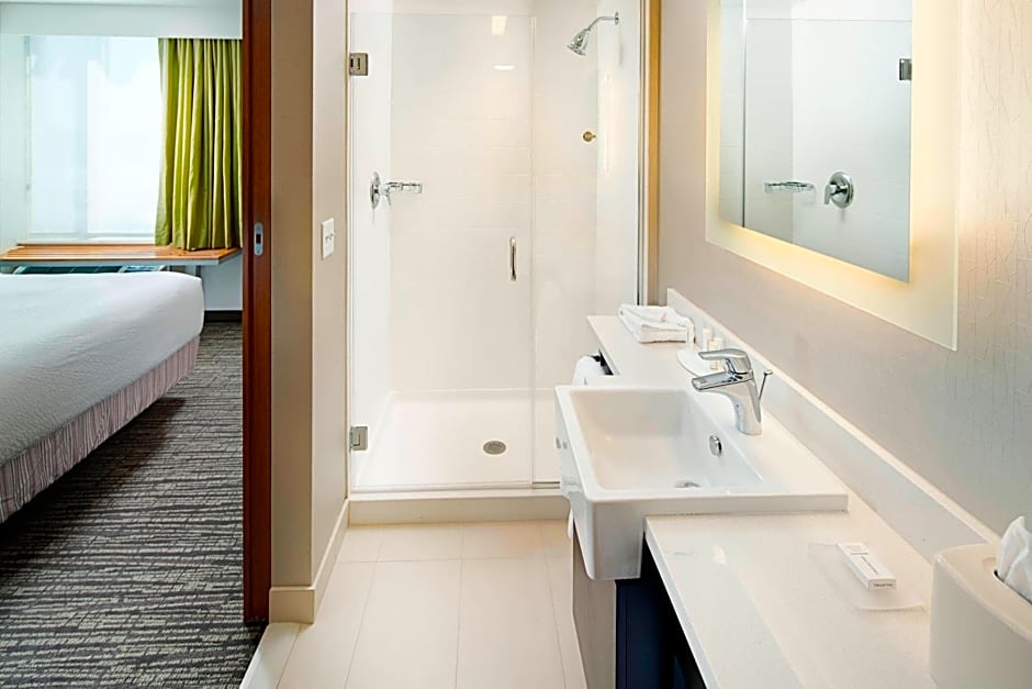 SpringHill Suites by Marriott Carle Place Garden City