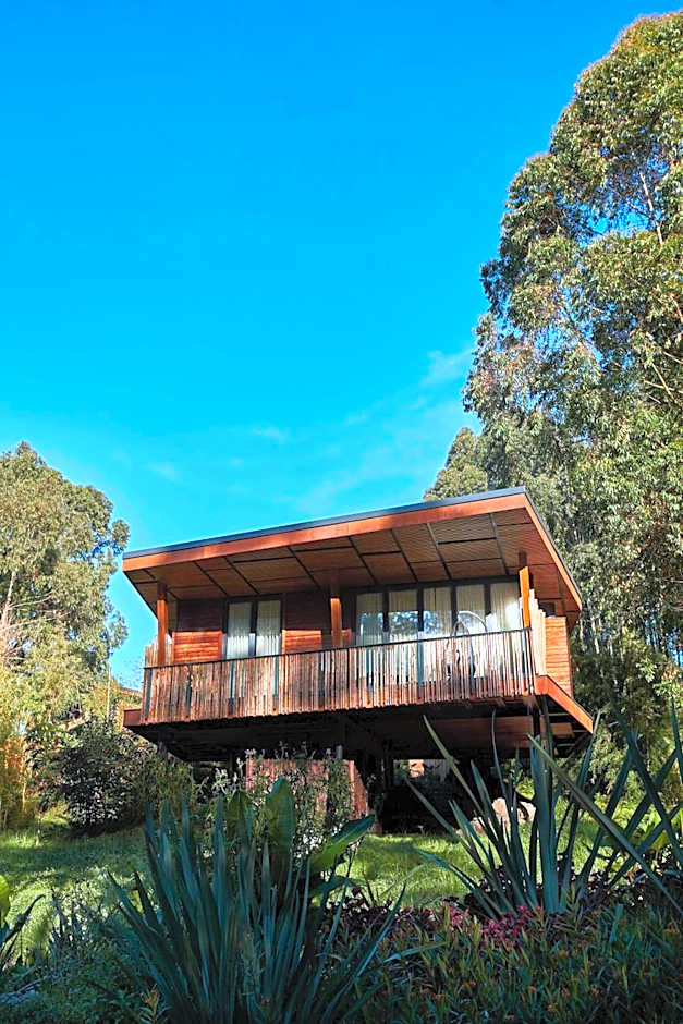 One&Only Gorilla's Nest