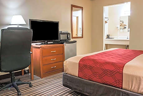 1 King Bed Nonsmoking Accessible
