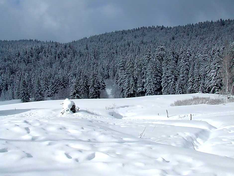 Domaine Des Hauts Viaux