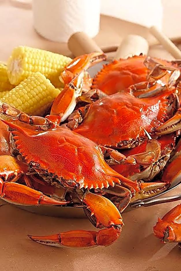 SCARLETT GUESTHOUSES HOTEL RESORTS