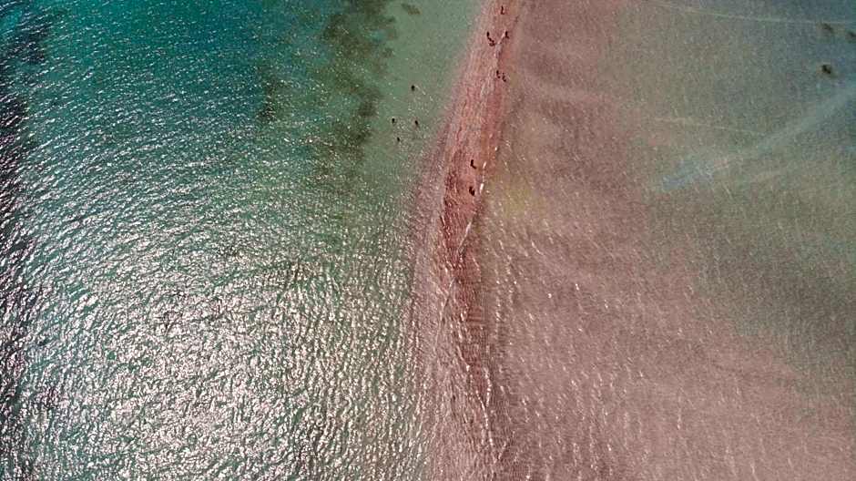 Chale 48 Maragogi Village Gales