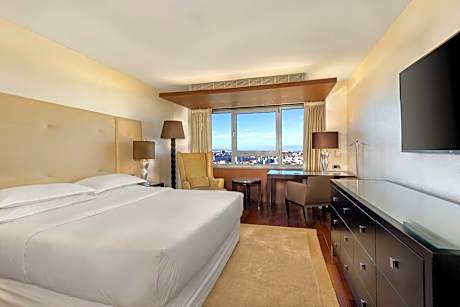 Club Room, 1 Queen Bed