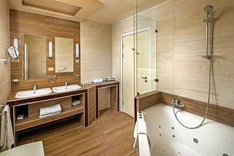 Ambassador Suite (1 King Bed and 1 Twin Sofa Bed)