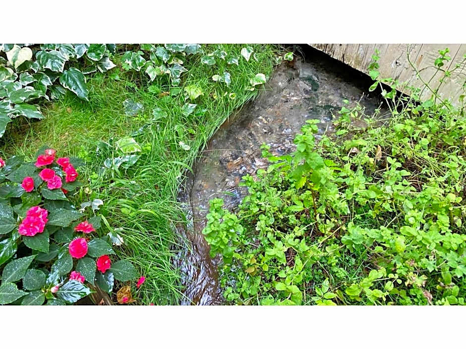 Restaurant & Hotel Traumerei - Vacation STAY 47810v