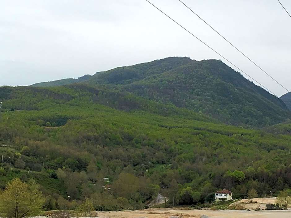 PASHA APART~BOUTİQUE HOTEL/YALOVA