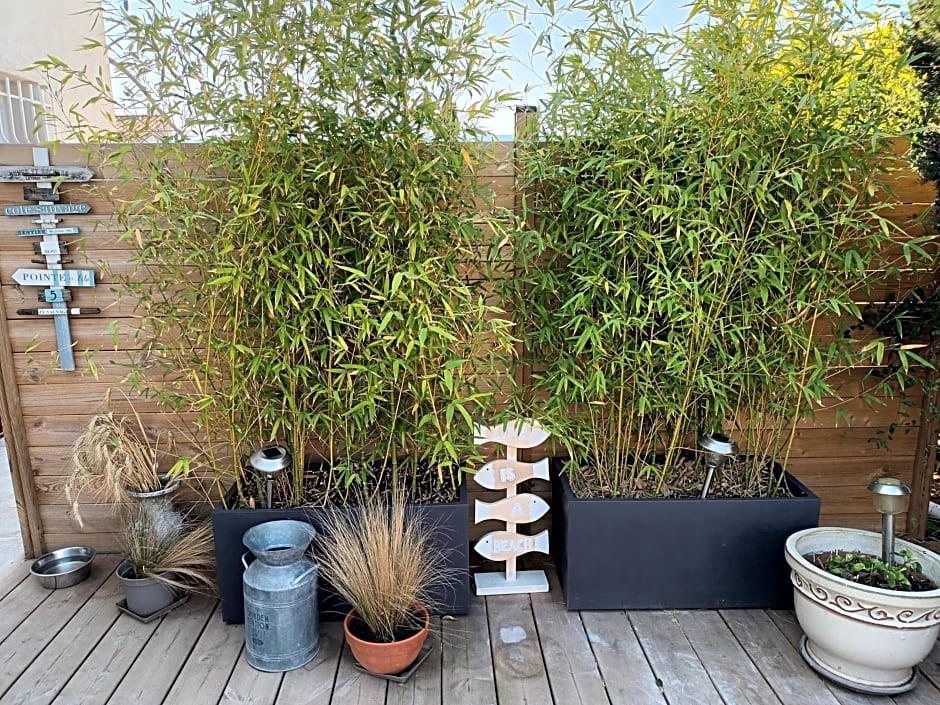 Jolie petite suite Côte d'Azur.