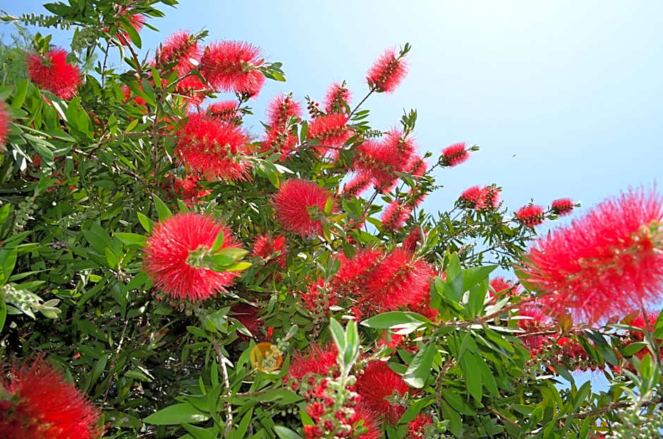 Hotel Garni Rivabella au Lac