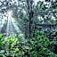 Wayanad Wild  Rainforest Lodge by CGH Earth