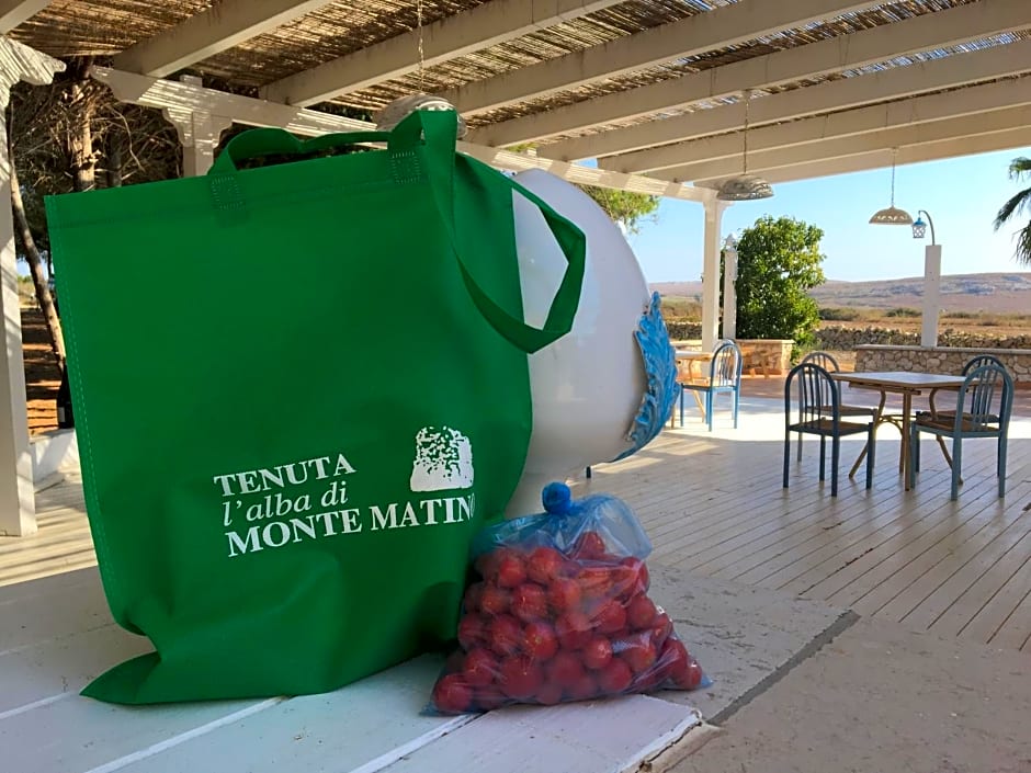 Tenuta L'Alba di monte Matino
