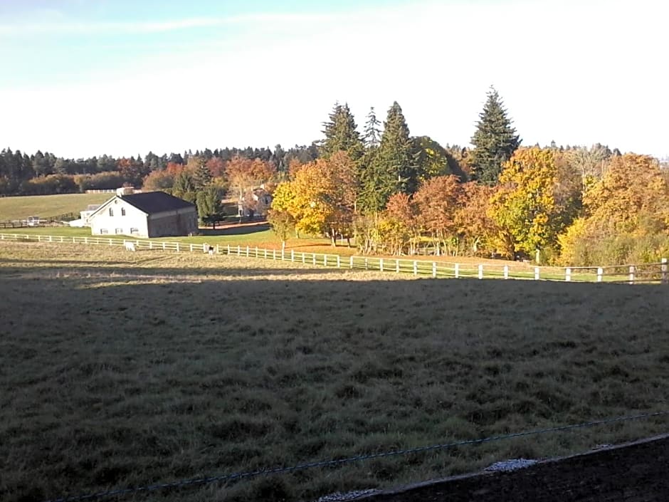 Chambres d'hôtes La Verrerie du Gast