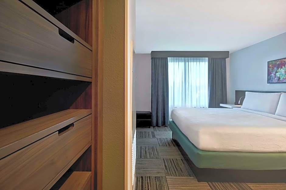Hilton Garden Inn Houston/Galleria Area