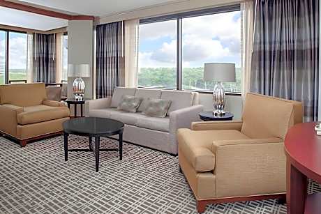1 King Bed Hospitality Suite-Sofabed
