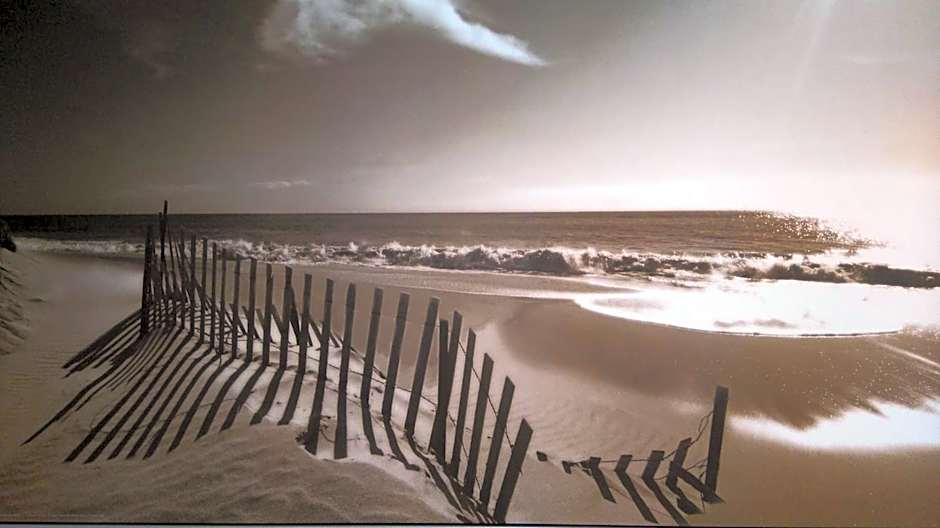 Driftwood B&B Weymouth