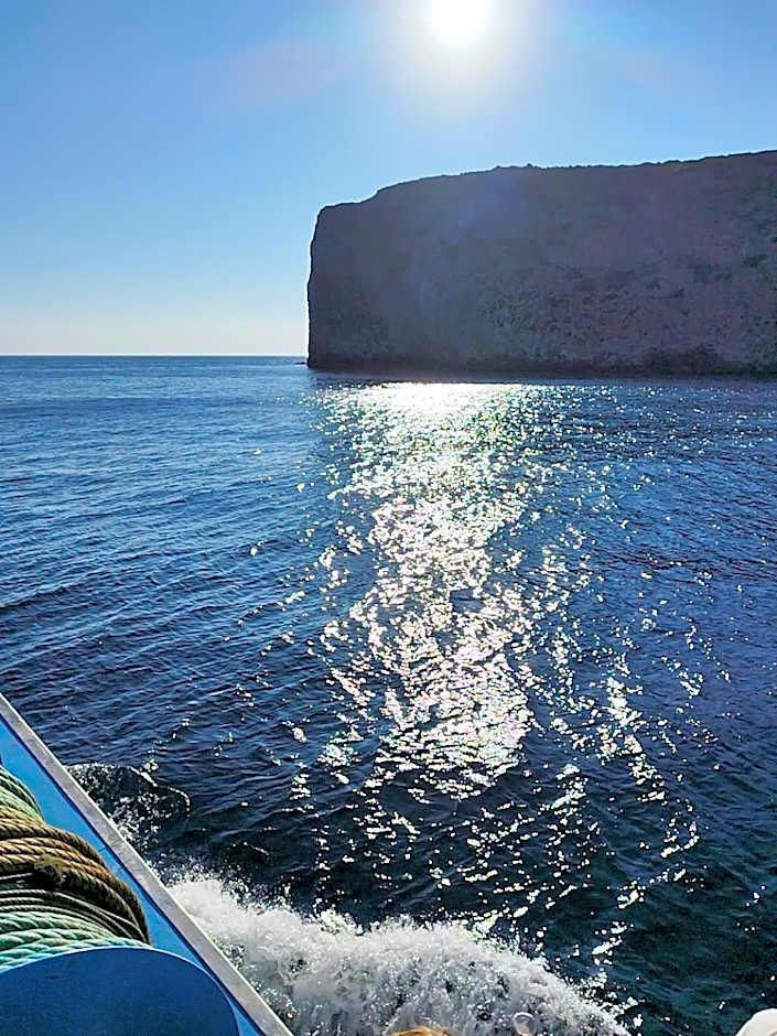 Laurus - Charming House