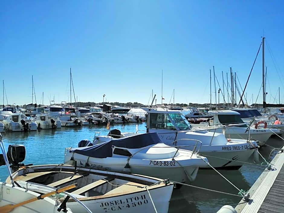The Farm Tiny House - Tiny Casa