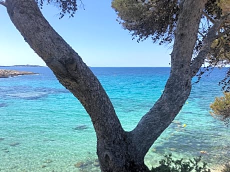 Les Baux 1