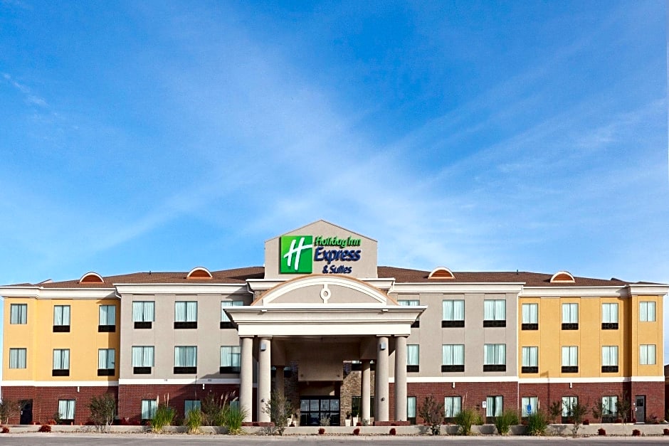 Holiday Inn Express Hotel & Suites Brownfield