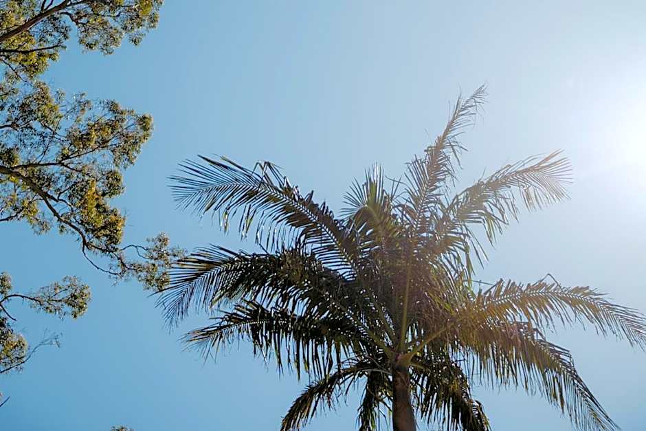 The Tamborine - Boutique Hotel