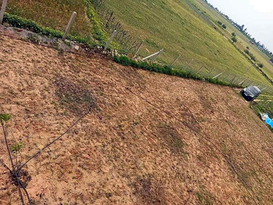 Ferme de Rêve, logement Entier à Louer