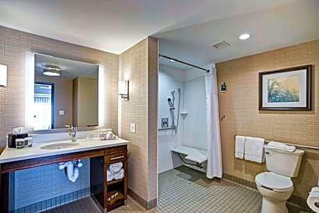Suite King Bed Non Smoking