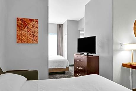 King Studio Suite with Sofa Bed