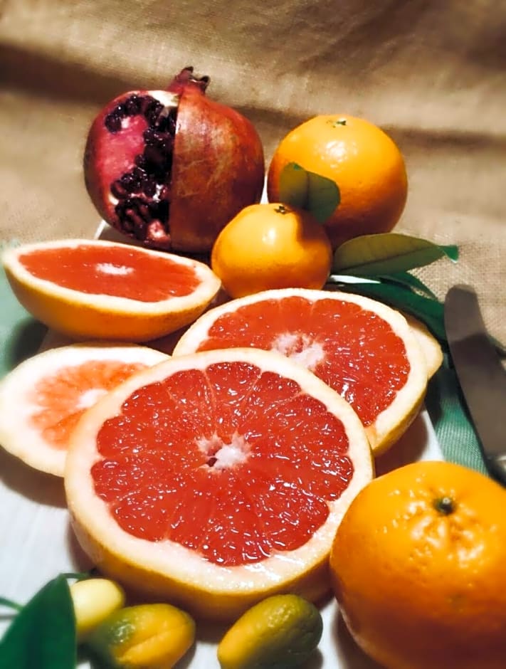 B&B re apartments Palazzo Muscati