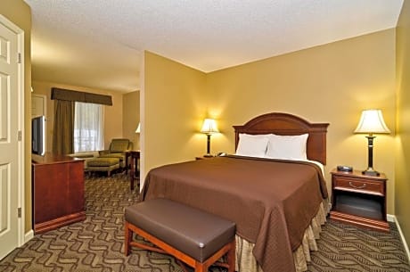 1 Queen Bed, Non-Smoking, Mini-Suite, Microwave, Refrigerator, High Speed Internet Access, Continent