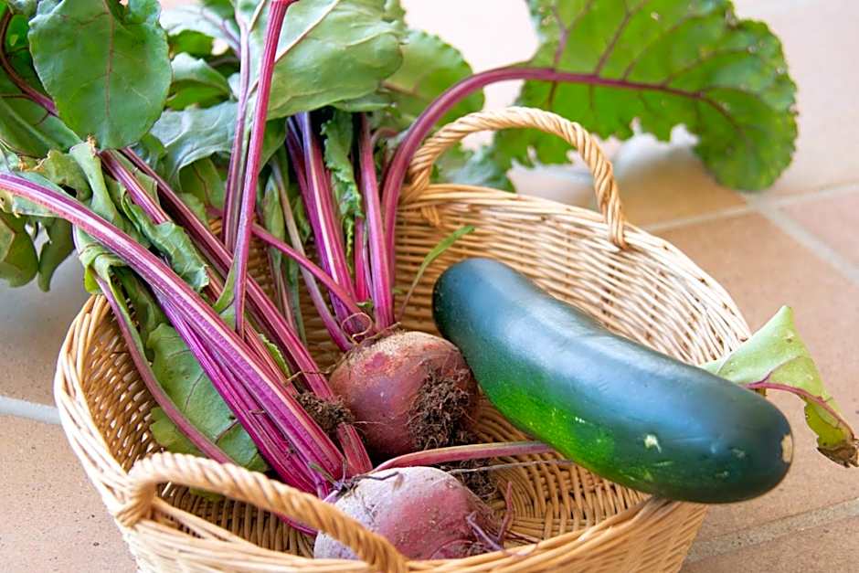 Hacienda la Divertida