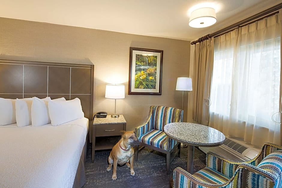 Best Western Plus Hilltop Inn