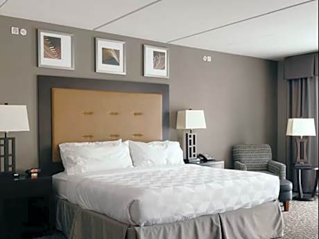 1 King Standard Mobility Accessible Roll Shower