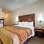 Comfort Inn Elko