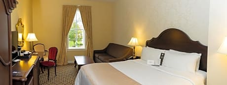 Superior Single Room