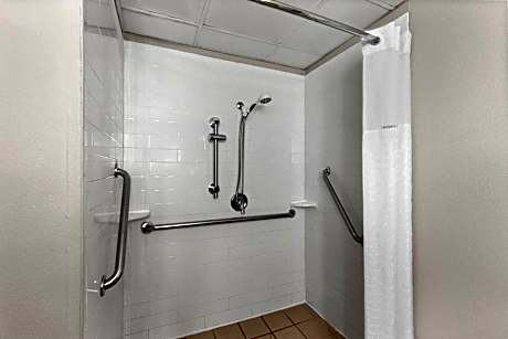 1 King Bed Mobility Accessible Suite Roll-In Shower Non-Smoking