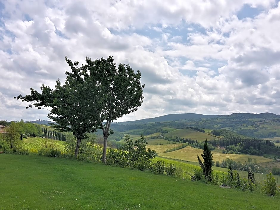 Poderi Arcangelo